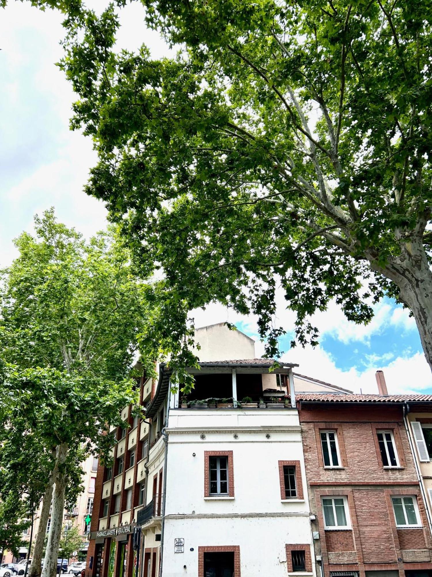 Loft Garonne - Centre Ville Immeuble Privatif Toulouse Bagian luar foto